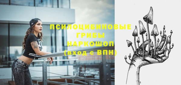 СК Касимов