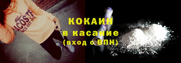 трава Карпинск