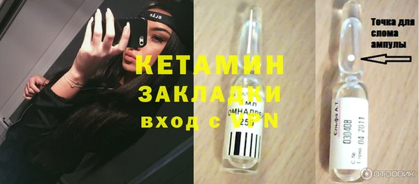 трава Карпинск