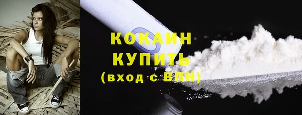трава Карпинск