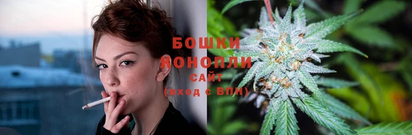 трава Карпинск