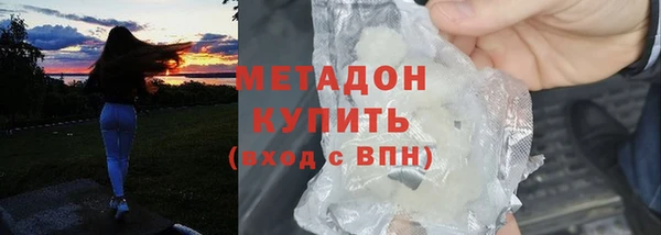 трава Карпинск
